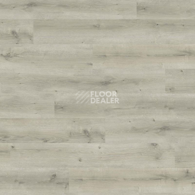 Ламинат Haro Daily Edition 8 mm 541344 Дуб Бреда Светло-Серый фото 1 | FLOORDEALER